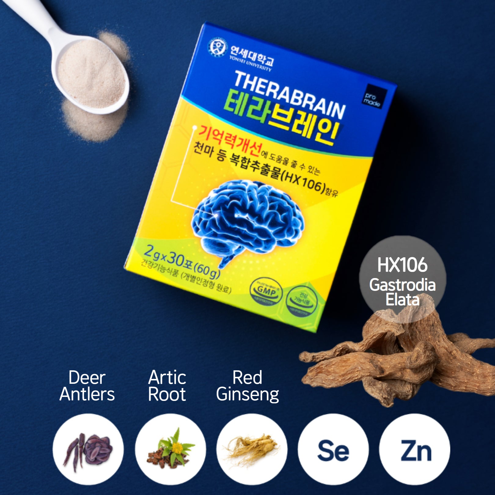 True Brain Supplement Brain Supplement - THERABRAIN – ONNURI STORE - Health & Wellness Platform